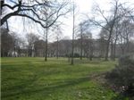IMG_0051