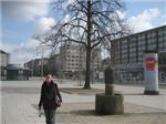 IMG_0062