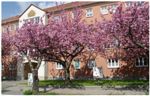 Chemnitz, Lutherstrasse